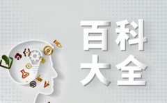 伟禄停业收入1195亿港元